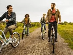 ElectraTownie Original 7D EQ 26-inch Step-Over