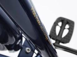 ElectraTownie Original 7D Step-Over